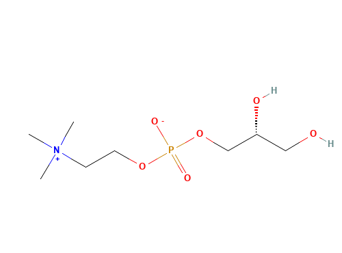 Choline glycerophosphate (GPC)